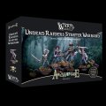 Photo of Undead Raiders Starter Warband (ARCW-UND-001)