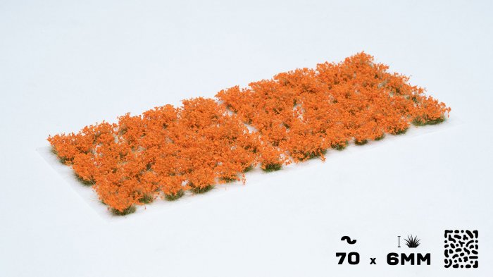 Orange Flowers