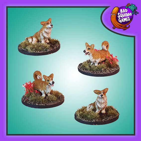 Corgis (4)