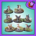 Photo of Vallhunder (Swedish Cattle Dogs) (FAF016)