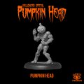 Photo of PUMPKIN HEAD (LI-PUMPKIN)