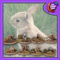 Photo of Bunnies (FAF007)