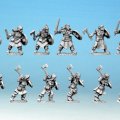 Photo of Shieldmaidens with Swords/ Axes (15mm) (MFMH003)