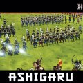 Photo of Ashigaru (WAARN005S)